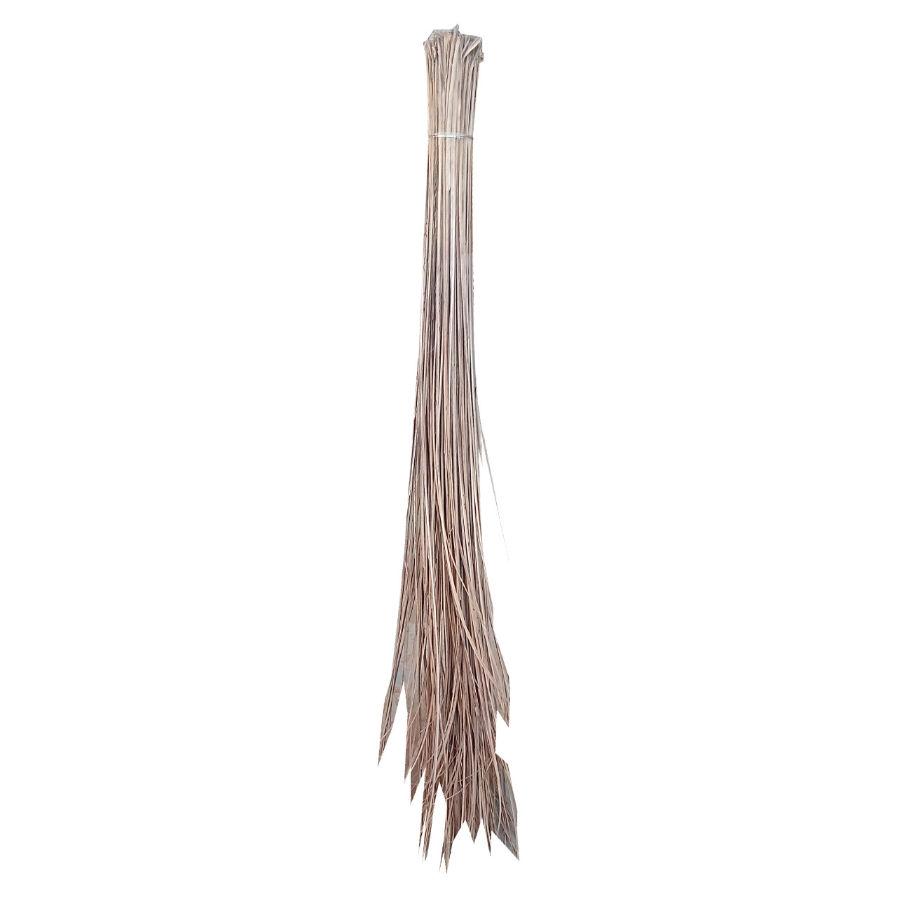 Hard Broom - Muttha 300grm